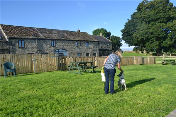 shared large rear garden 